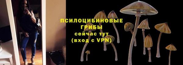 молекула духа Баксан