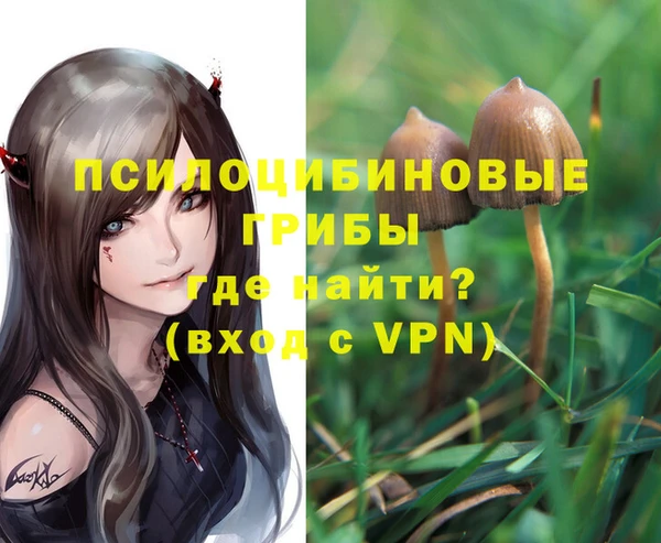 молекула духа Баксан