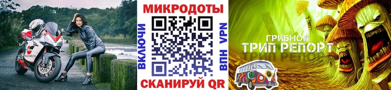 Галлюциногенные грибы Psilocybine cubensis  дарнет шоп  Королёв 