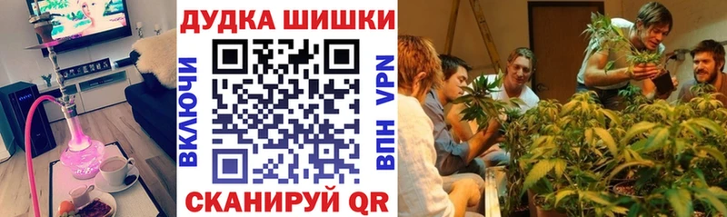 Каннабис ГИДРОПОН  Королёв 